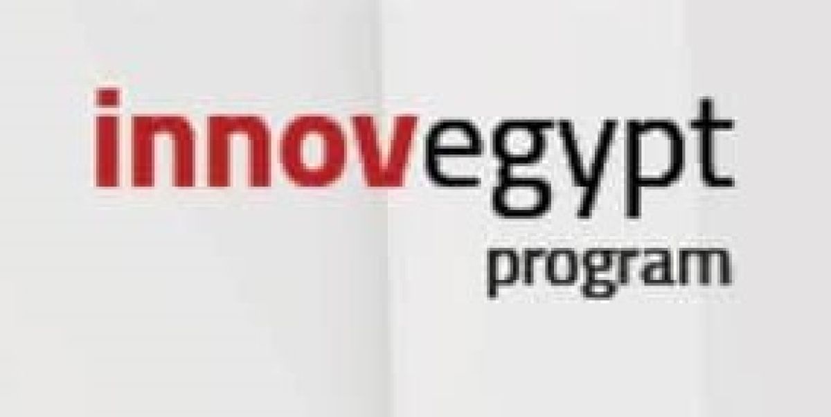 Applications Now Open for Winter 2025 – InnovEgypt Program for Students and Graduates